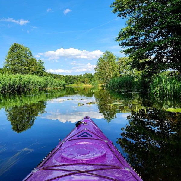 Kajaki rzeką ełk w fioletowym kajaku traper